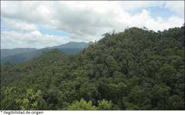 0188-4611-igeo-91-00176-gf5.jpg